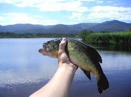 freshwater fishing tips